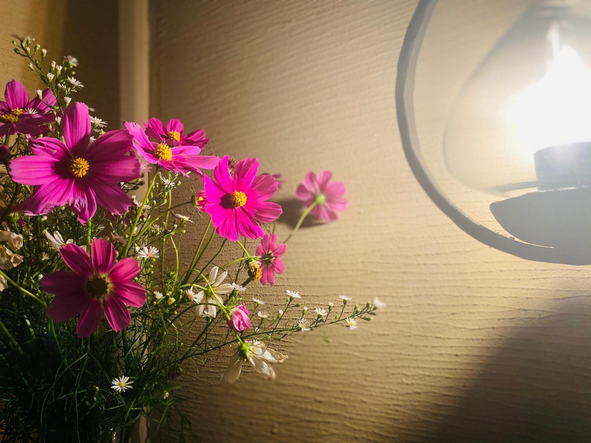 Hotel Wohnen ฮาคุบะ ภายนอก รูปภาพ
